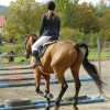 Babie Lato 2016